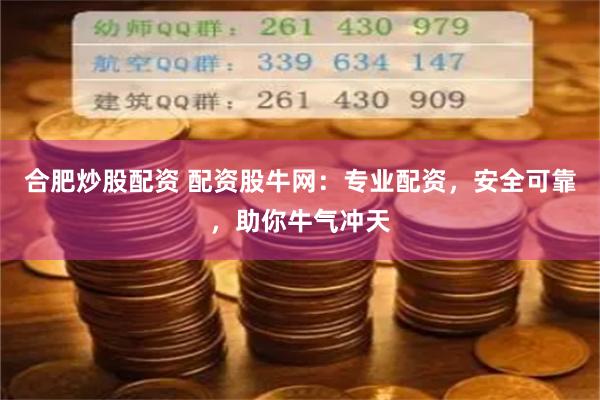 合肥炒股配资 配资股牛网：专业配资，安全可靠，助你牛气冲天
