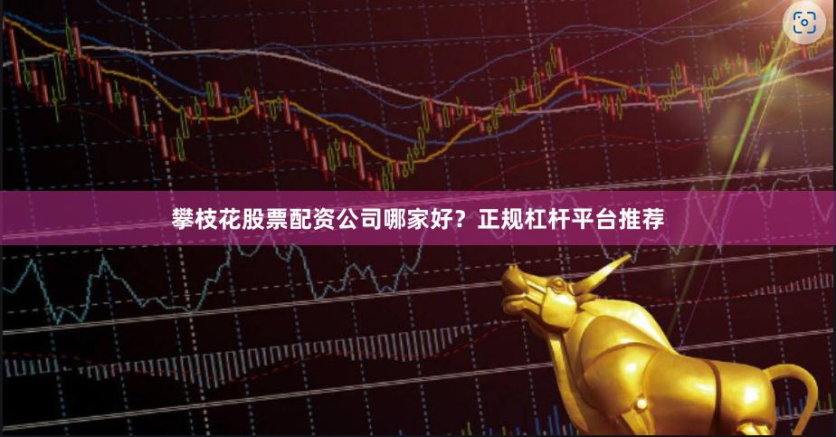 攀枝花股票配资公司哪家好？正规杠杆平台推荐