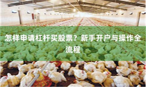 怎样申请杠杆买股票？新手开户与操作全流程