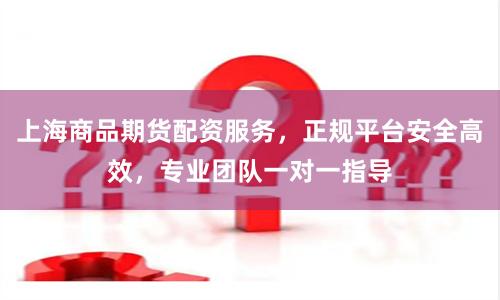 上海商品期货配资服务，正规平台安全高效，专业团队一对一指导