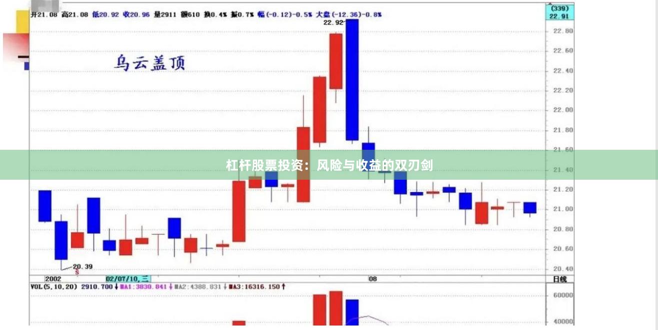杠杆股票投资：风险与收益的双刃剑