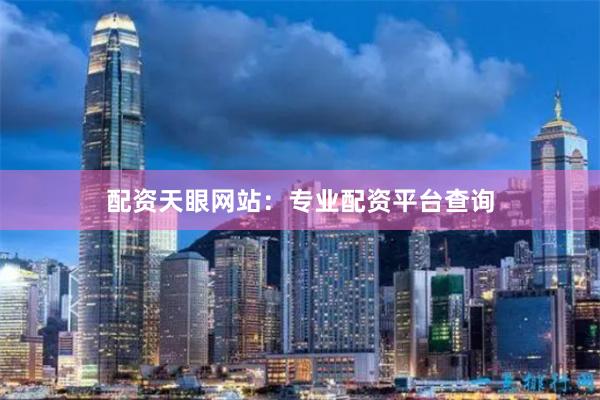 配资天眼网站：专业配资平台查询