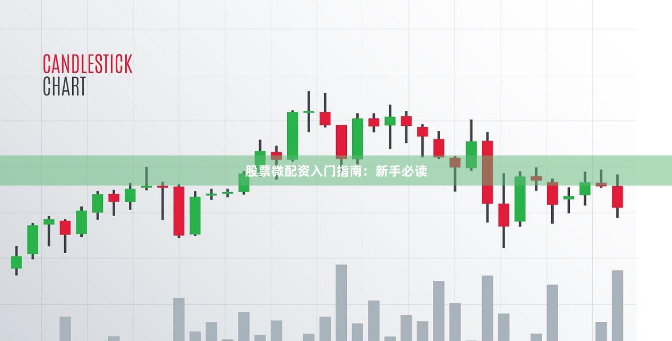 股票微配资入门指南：新手必读